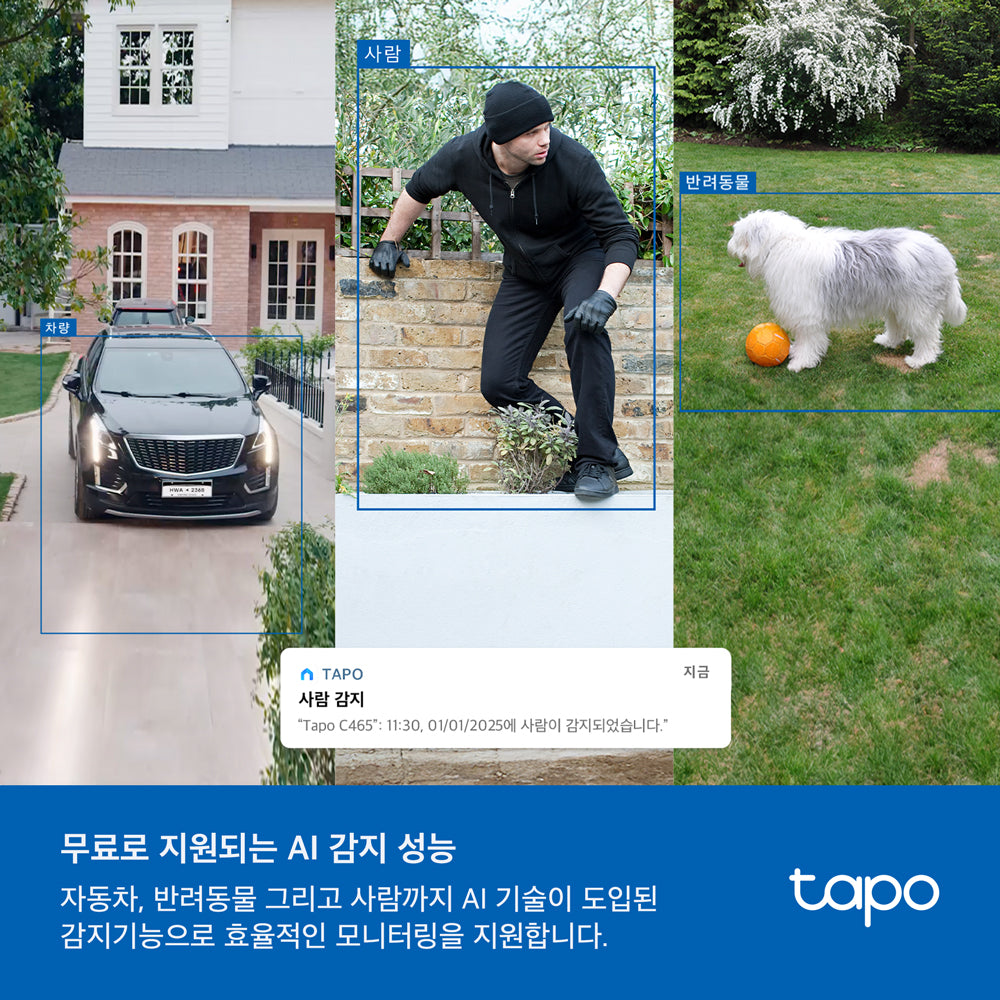 Tapo C465