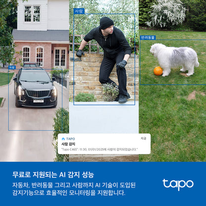 Tapo C465